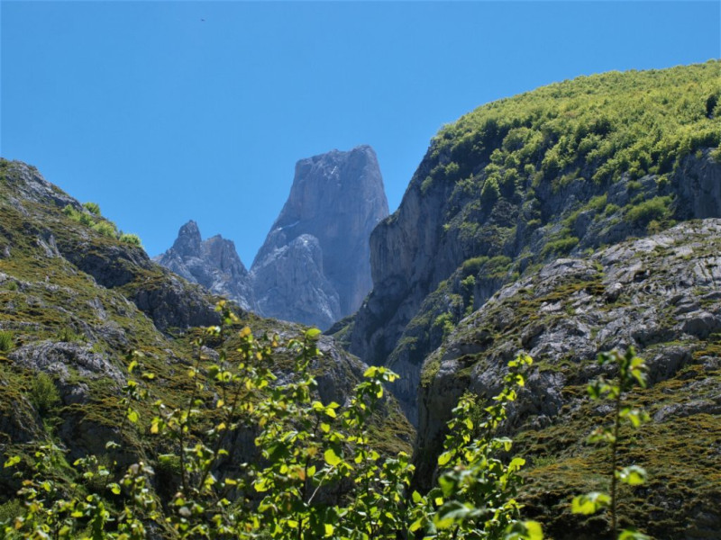 Naranjo de Bulnes, Picos de Europa