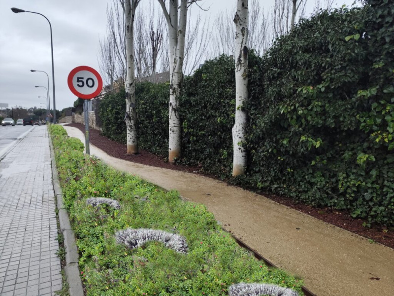 PSOE propone plantar vegetación en alcorques continuos o en zonas de grava