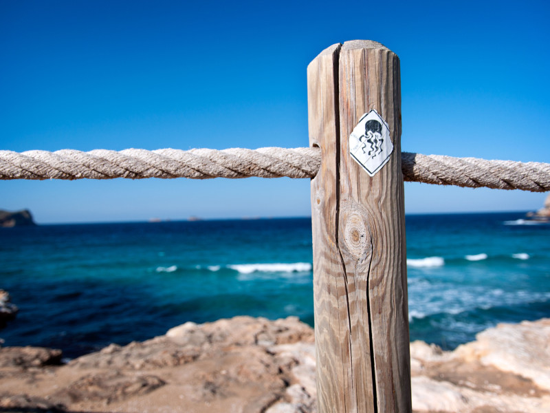 Playa de Cala Comte. Ibiza, Islas Baleares