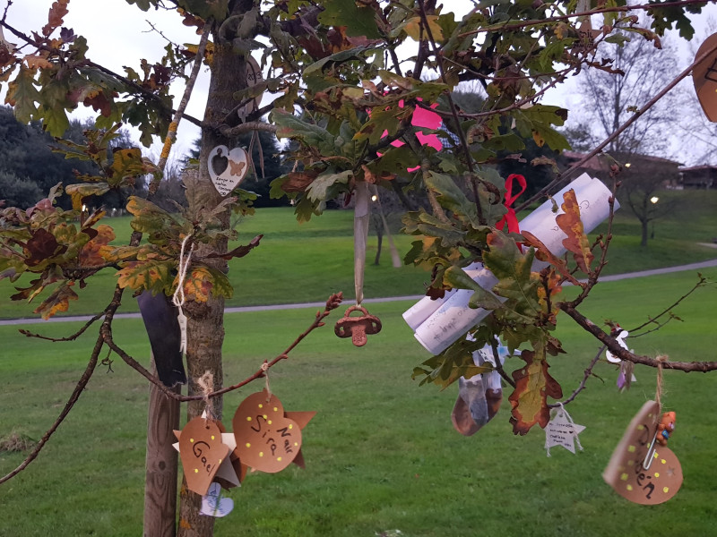 Árbol de Abrazos Vacíos en el parque de Invierno de Oviedo