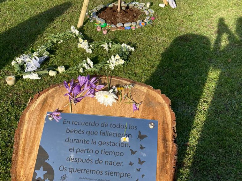 Placa colocada en el Parque de Invierno junto al árbol de Brazos Vacíos