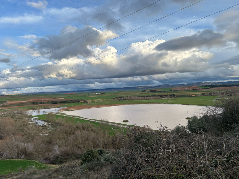 Cultivo inundado