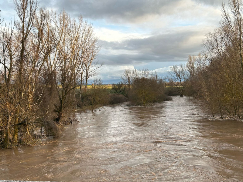 La APAG reclama a la CHT una limpieza urgente de los cauces de los ríos