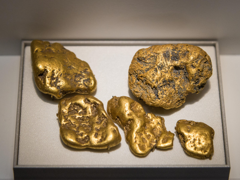 Muestras de pepitas de oro en un museo de Chicago