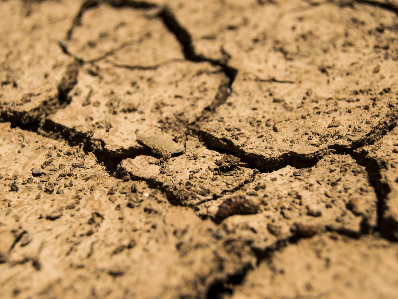 El cambio climático se ha convertido en una preocupación central para el sector agrícola, y el olivar jiennense no es una excepción
