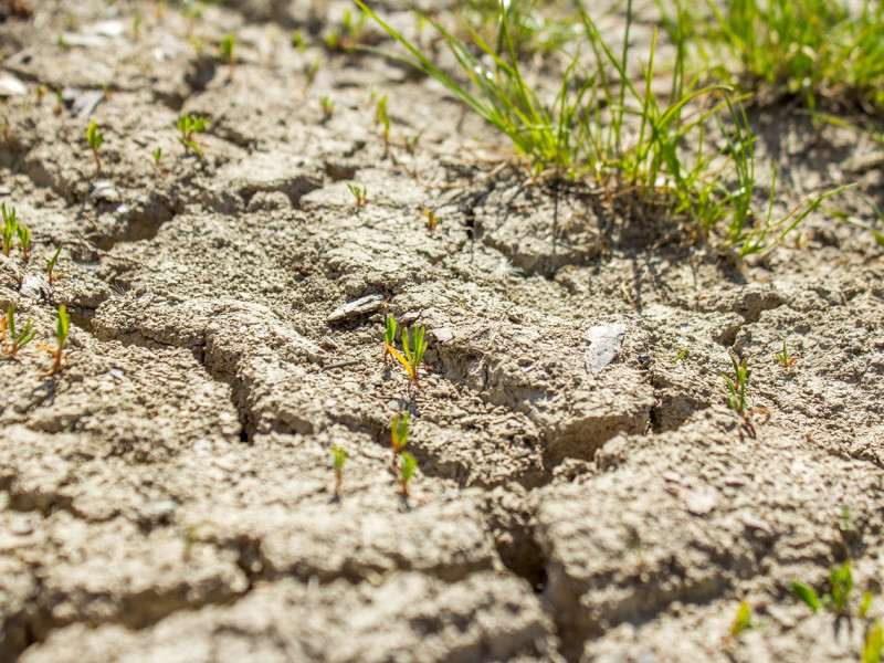 Expertos alertan: Jaén podría sufrir hasta 68 días de sequía en 2030