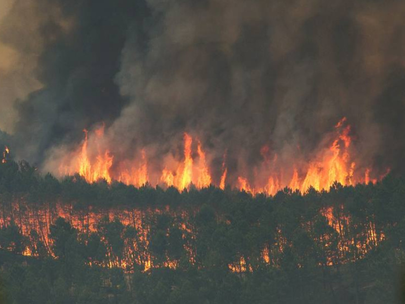 Incendio forestal en Extremadura