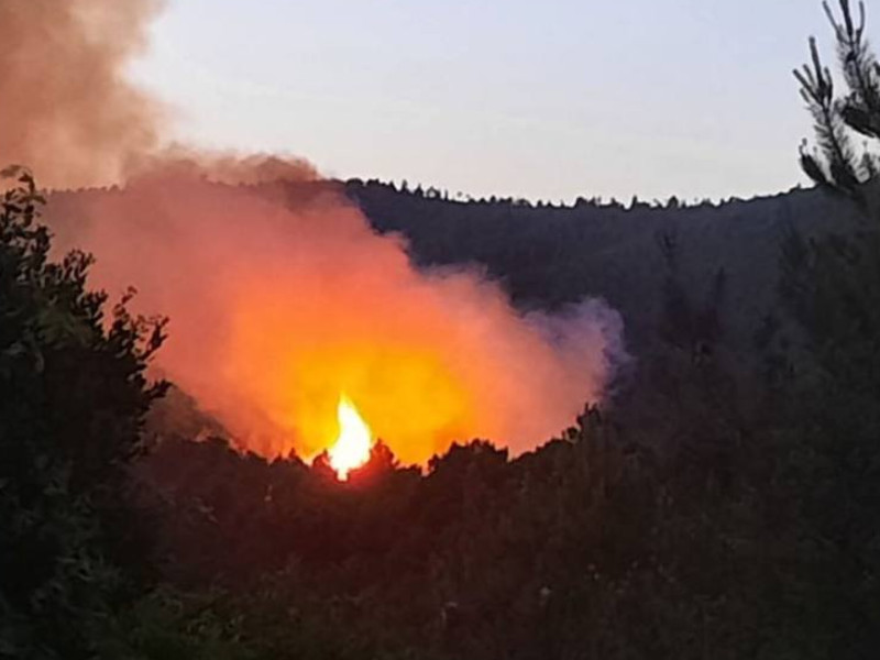 Incendio en Pinofranqueado