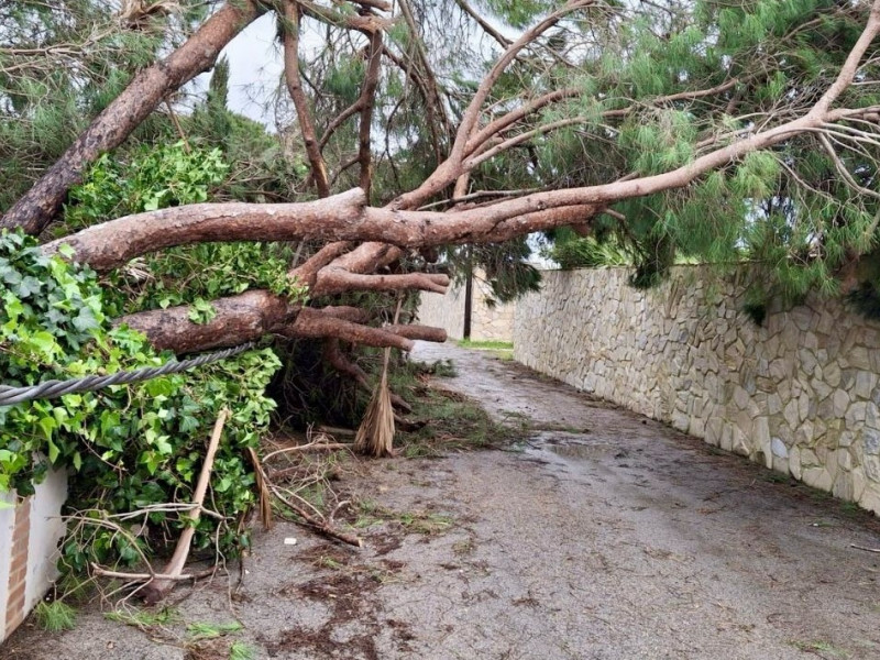 Destrozos que ha dejado el tornado a su paso por Conil (Cádiz)