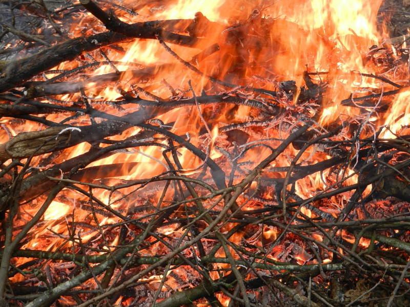 Fuego- quema forestal