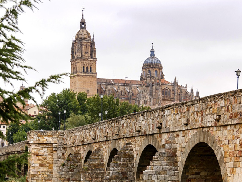 Catedral y Puente Romano de Salamanca