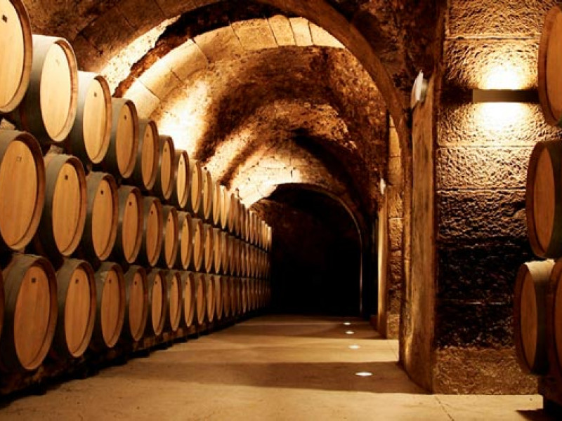 Barricas de la bodega Casa Primicia