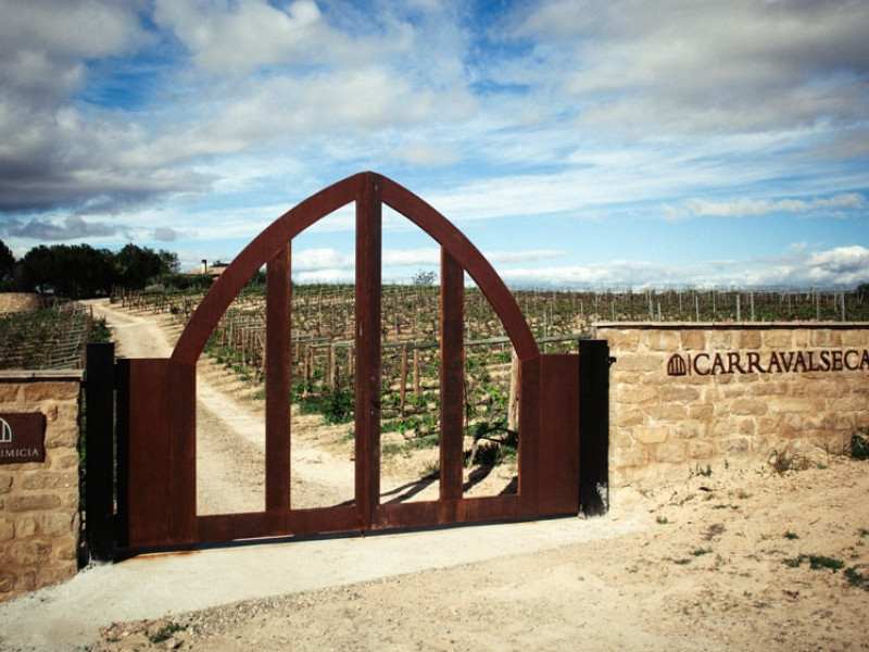 Acceso a viñedos de Casa Primicia