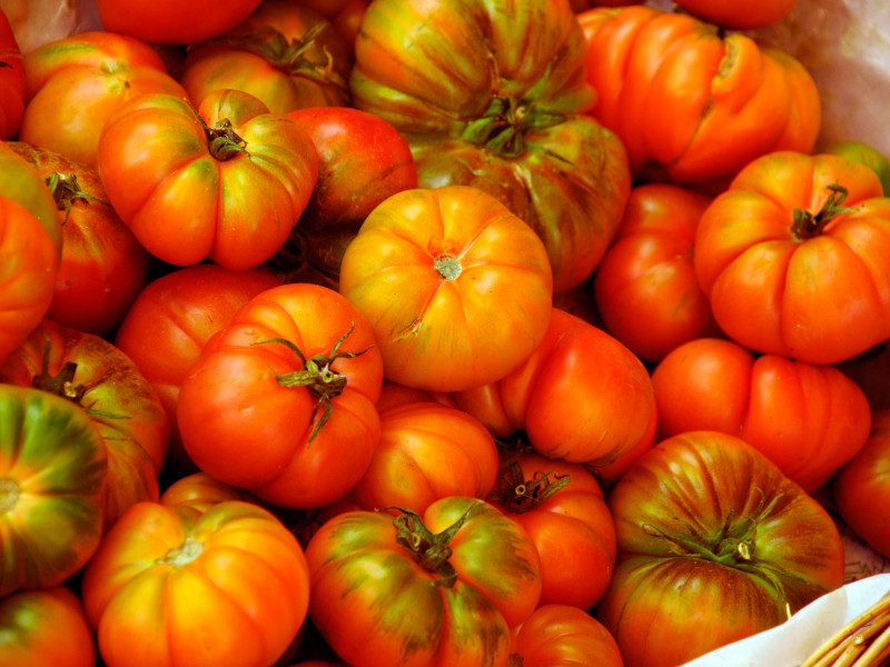 Tomates de Menorca