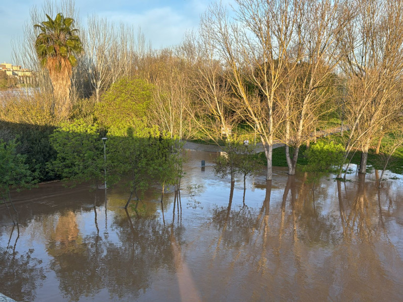 Río Guadiana a su paso por Mérida