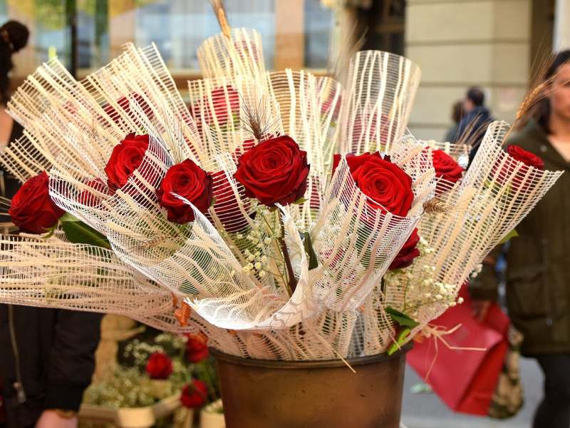 Rosas el la Diada de Sant Jordi