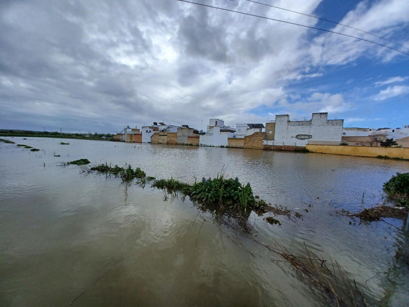 Zona inundada en el arroyo Salado en el Palmar de Troya