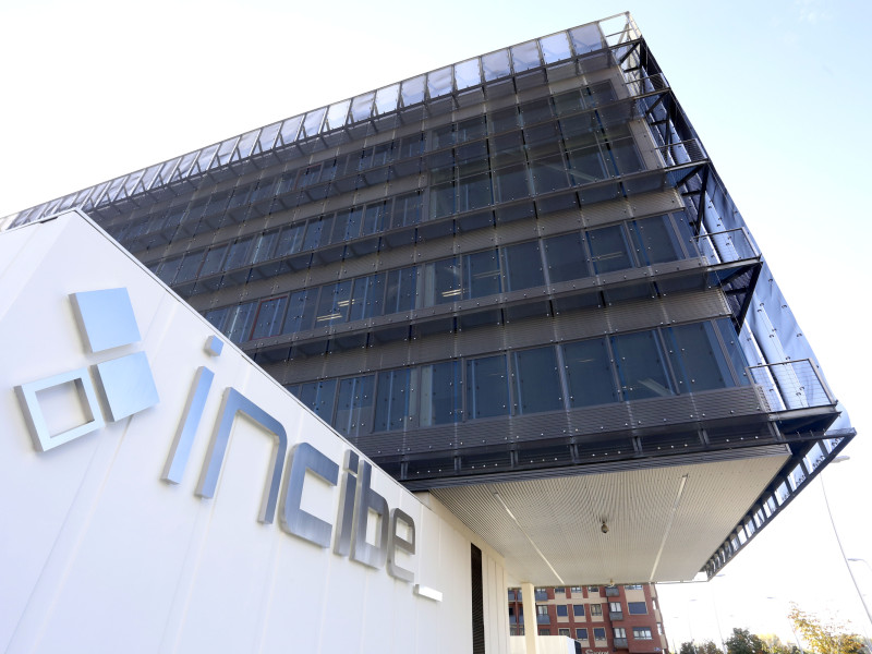 Instituto Nacional de Ciberseguridad (Incibe)