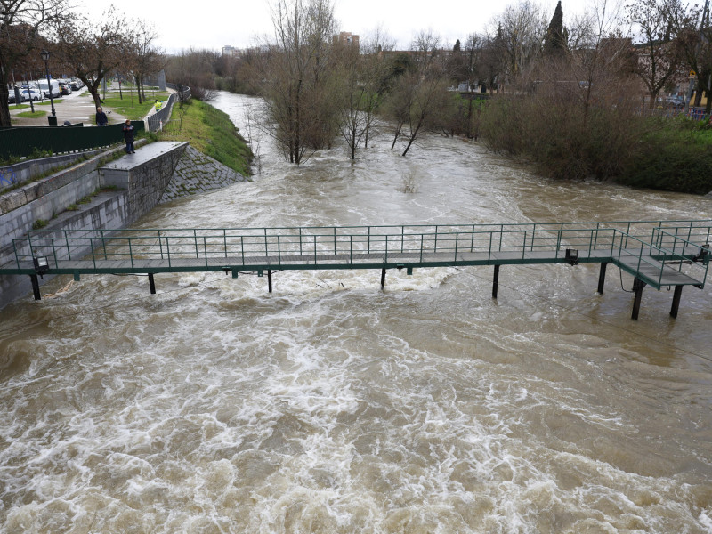 Caudal del río Manzanares este viernes en Madrid durante la borrasca Martinho