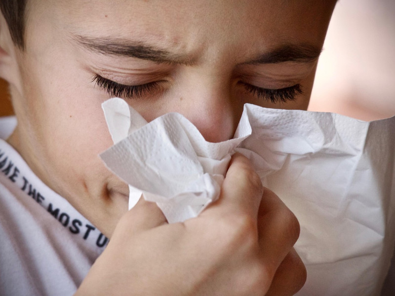 En los últimos años el número de niños con alergias ha aumentado de manera preocupante