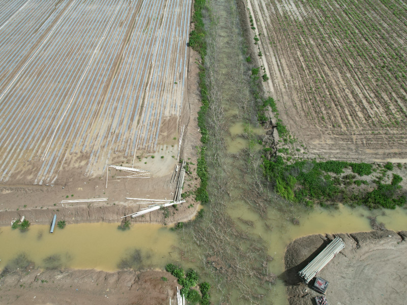 Campos de Lebrija inundados