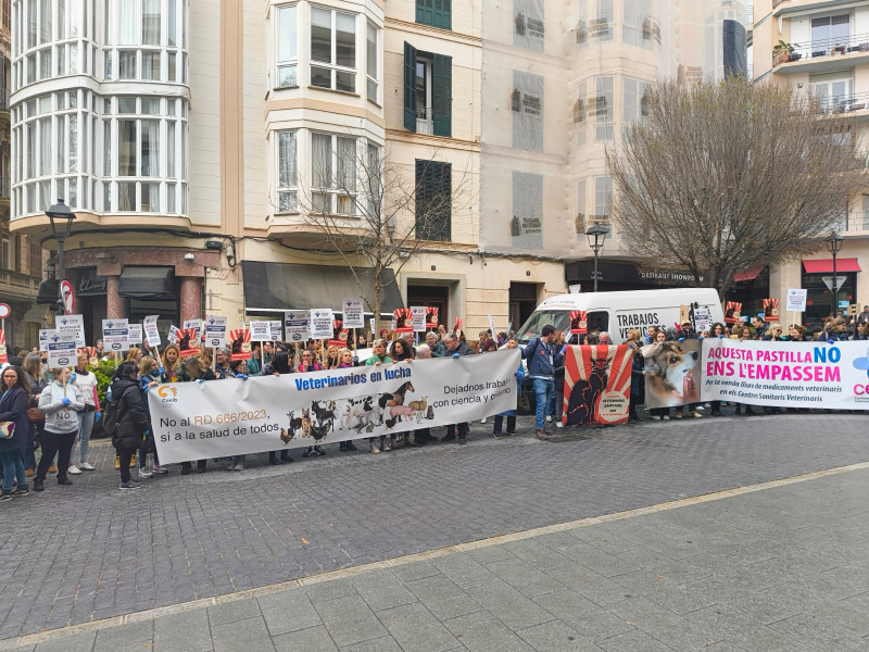 Los veterinarios de baleares se manifiestan delante de la Delegación de Gobierno.