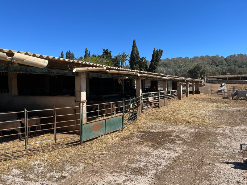 Finca de Cas Saboners
