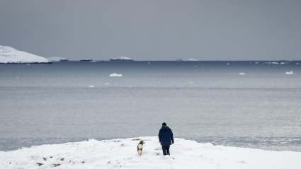 Una persona camina con un perro en Nuuk, Groenlandia