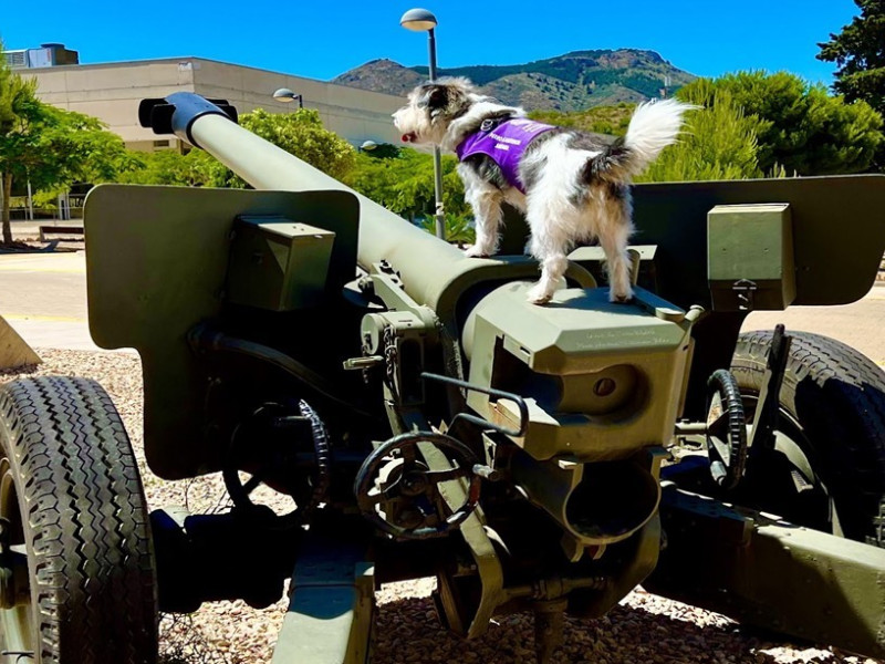 Sheldon en un vehículo militar