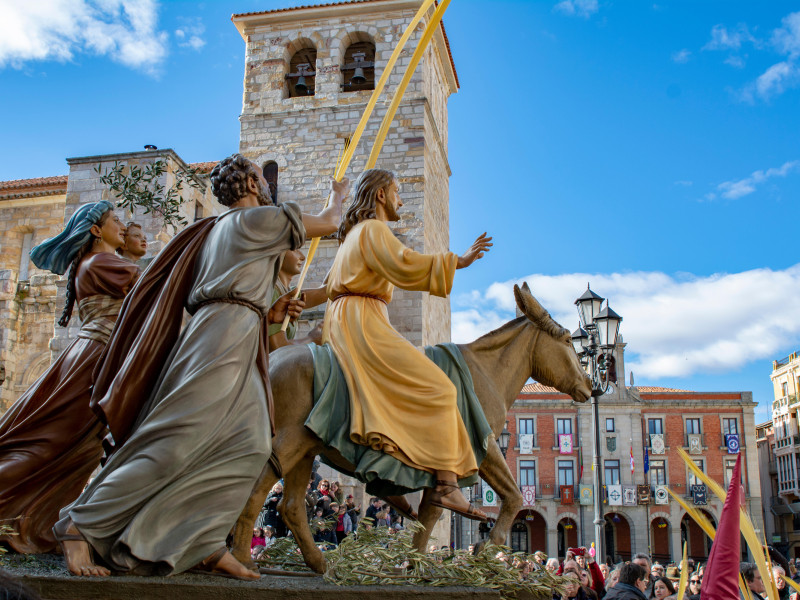 La Real Cofradía de Jesús en su Entrada Triunfal en Jerusalén durante un Domingo de Ramos