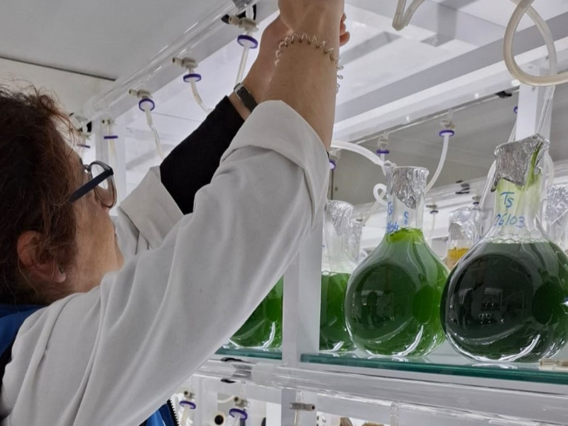 Centro de Investigaciones Marinas de Ribadeo