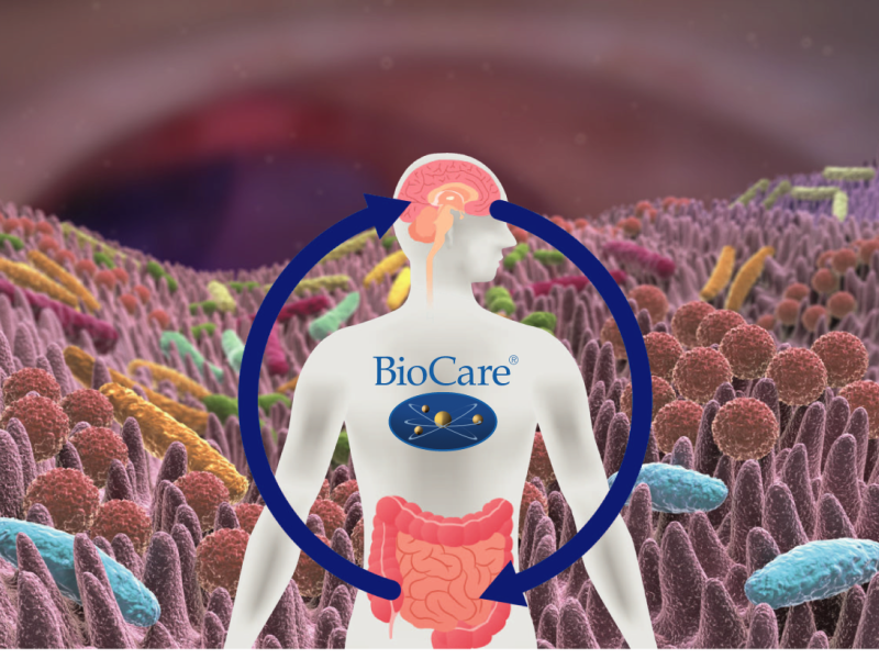 La salud intestinal y la cerebral están más vinculadas de lo que parece