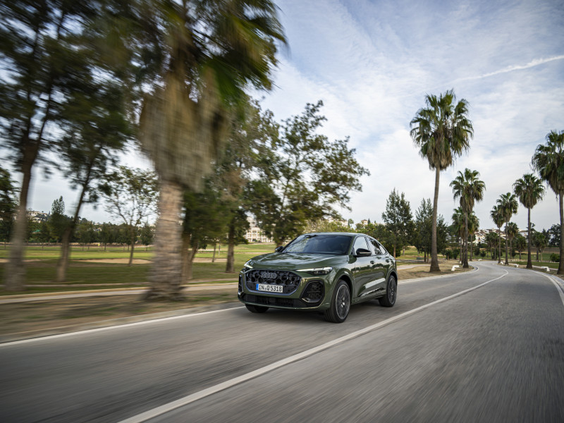 Dynamic photo,Colour: District green metallic