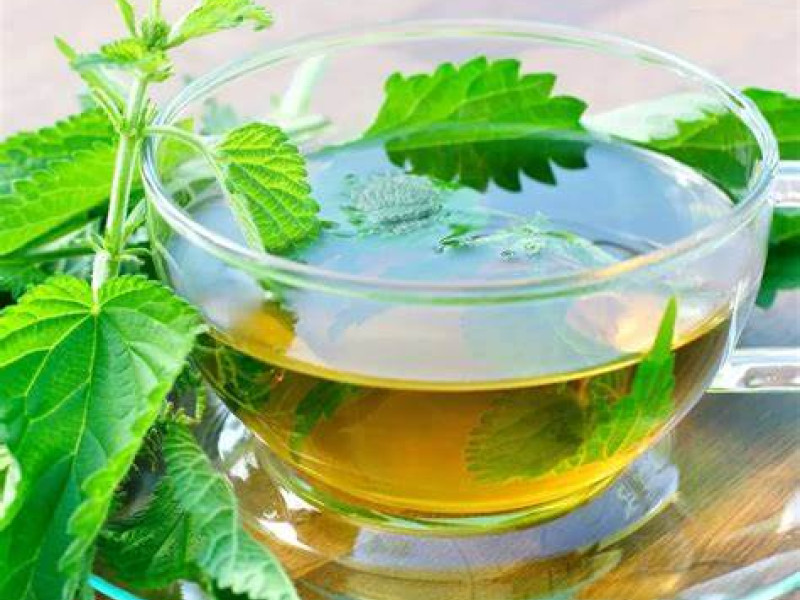 Las infusiones e ortiga reducen los estornudos y la mucosidad