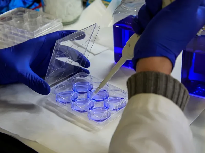Laboratorio - EFE