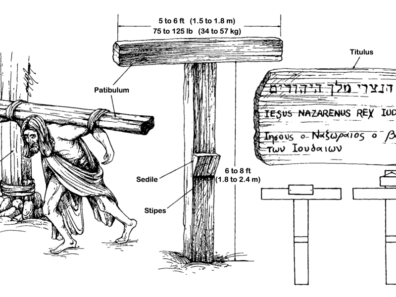 Ilustración que acompaña al informe 'On the Physical Death of Jesus Christ'