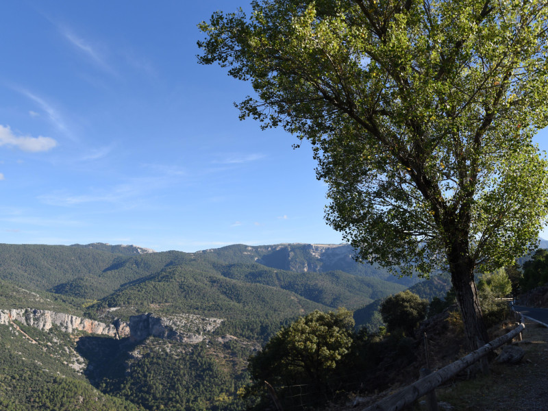 Paisaje en la Sierra de Cazorla