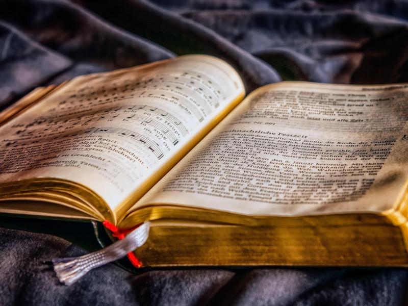 Desde 1995 la UNESCO declaró el 23 de abril, día internacional del libro