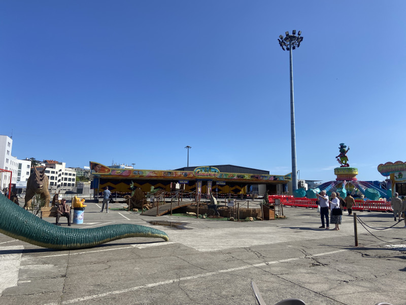 Muchos viajeros curiosearon por Porto Feira