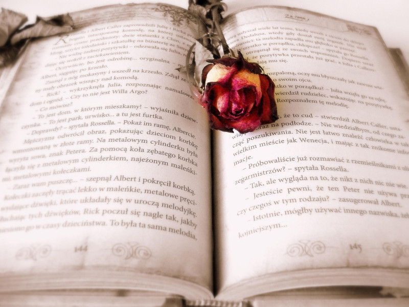 Libro y rosa
