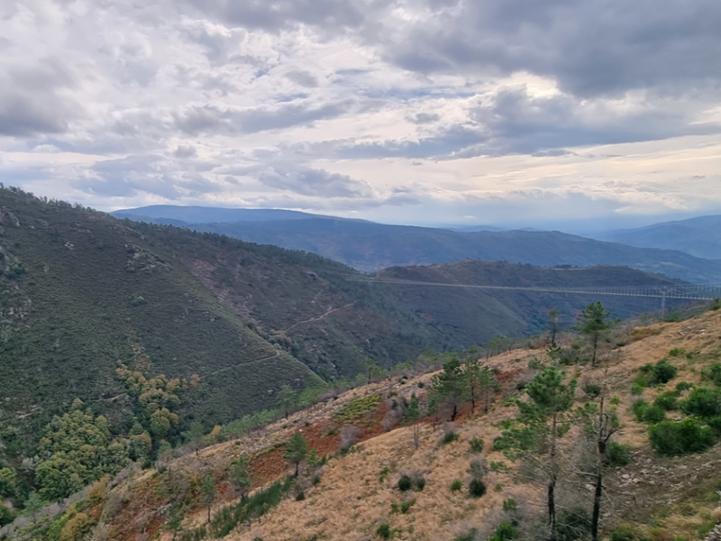 Imagen del proyecto del futuro Puente Colgante de Campodola, en Quiroga