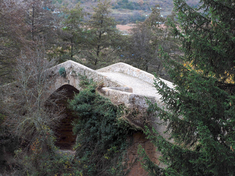 El puente medieval de Viguera