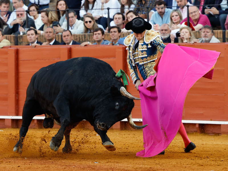Román, a la verónica, ante el tercer toro de Bohórquez en Sevilla