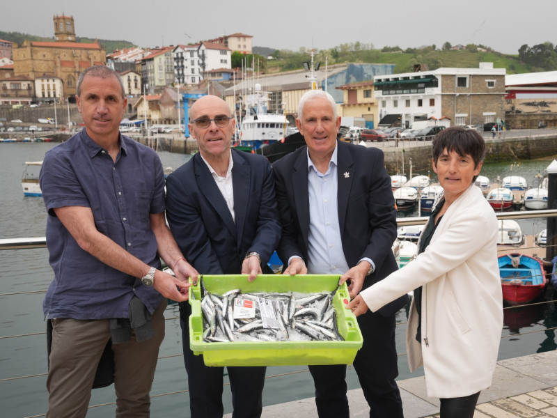 Balance de los dos primeros meses de campaña de la anchoa