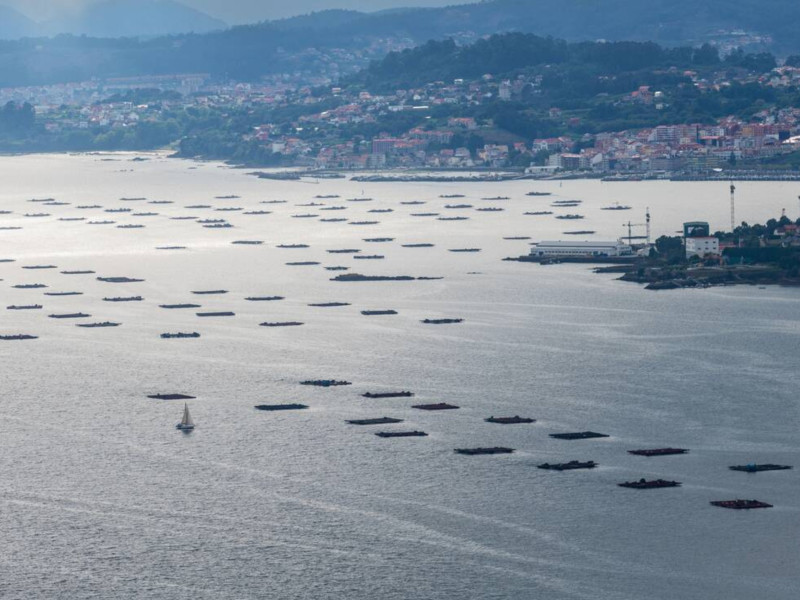 Bateas en la Ría de Vigo
