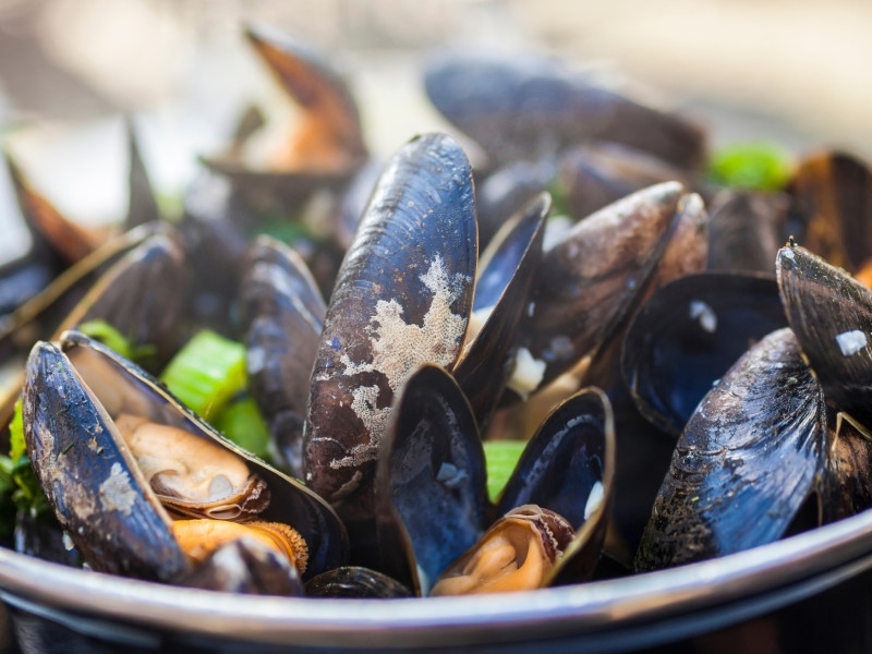 Plato de mejillones