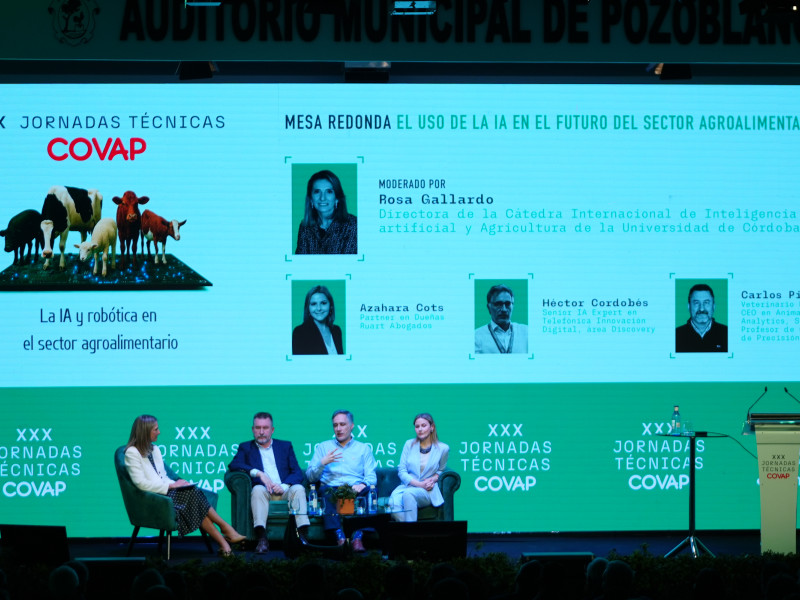 Mesa redonda