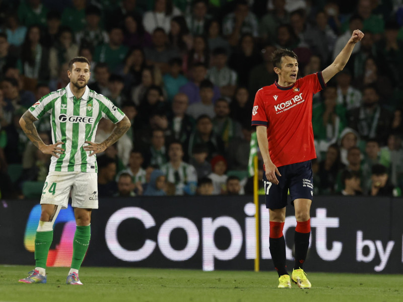 Budimir celebra el gol del empate de Osasuna contra el Betis