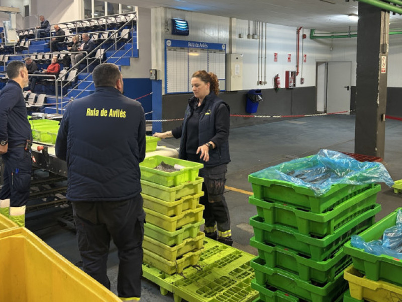 Trabajadores de la Rula de Avilés en una descarga reciente