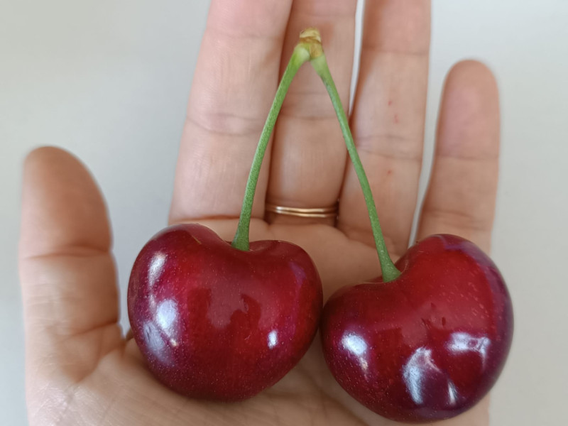 La calidad diferencia a la cereza en La Rioja